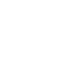 shopping cart